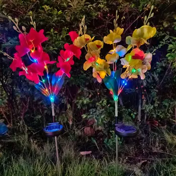 2 Mudelit, Päikese Aias Tuled Orhidee Õied Kaalul Muru Lamp Hoovis Väljas Patio Tee Decor Phalaenopsis Branch Tuled